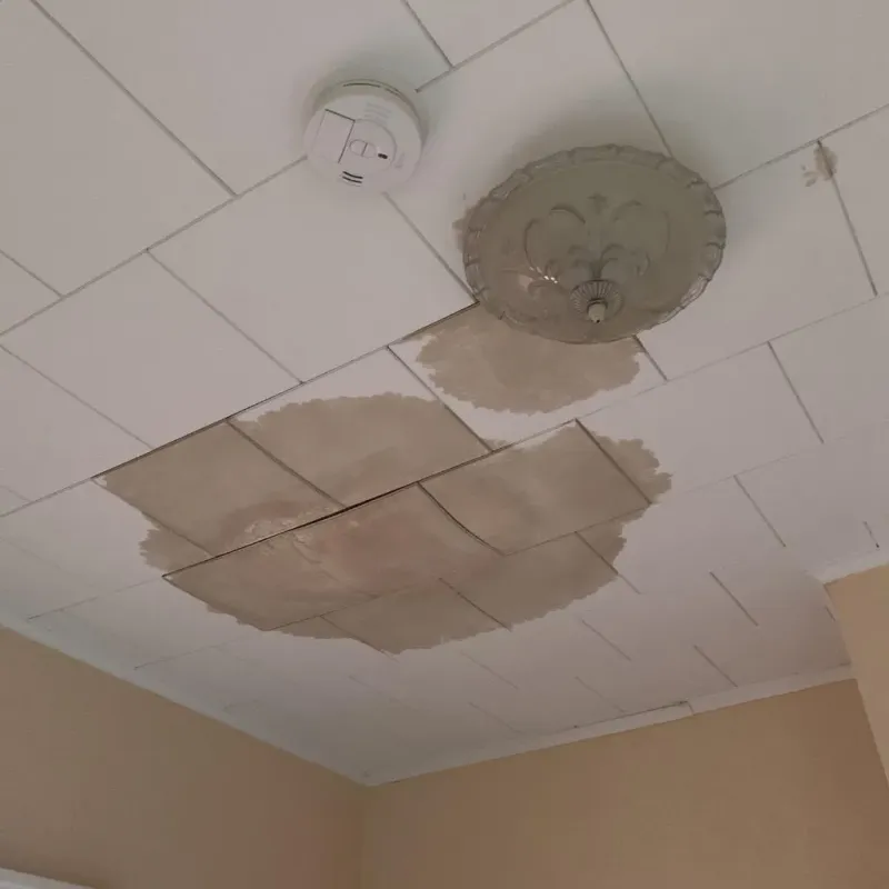 Ceiling Water Damage Repair in Mountain View, MO