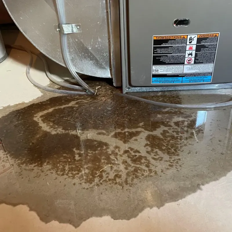 Pipe Burst and Leak Restoration in Mountain View, MO