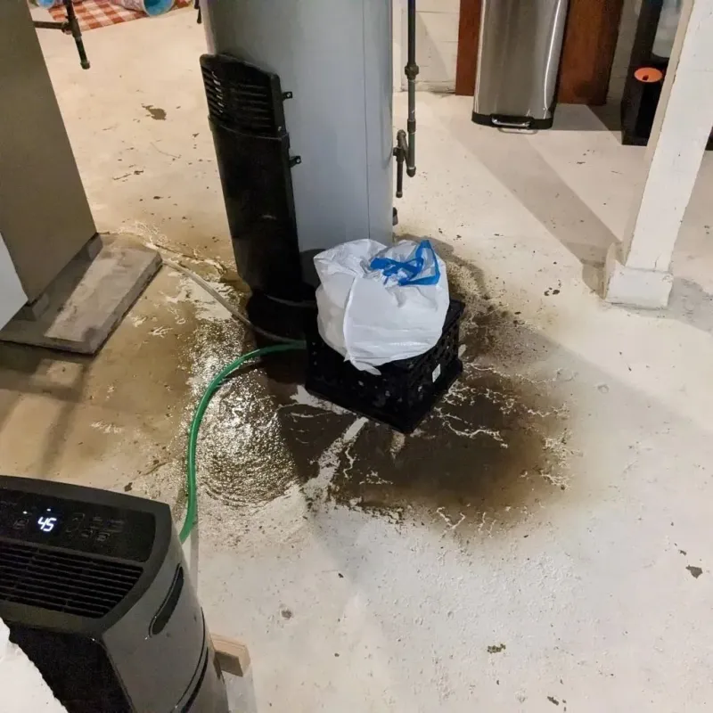 Sewage Backup Cleanup Service in Mountain View, MO